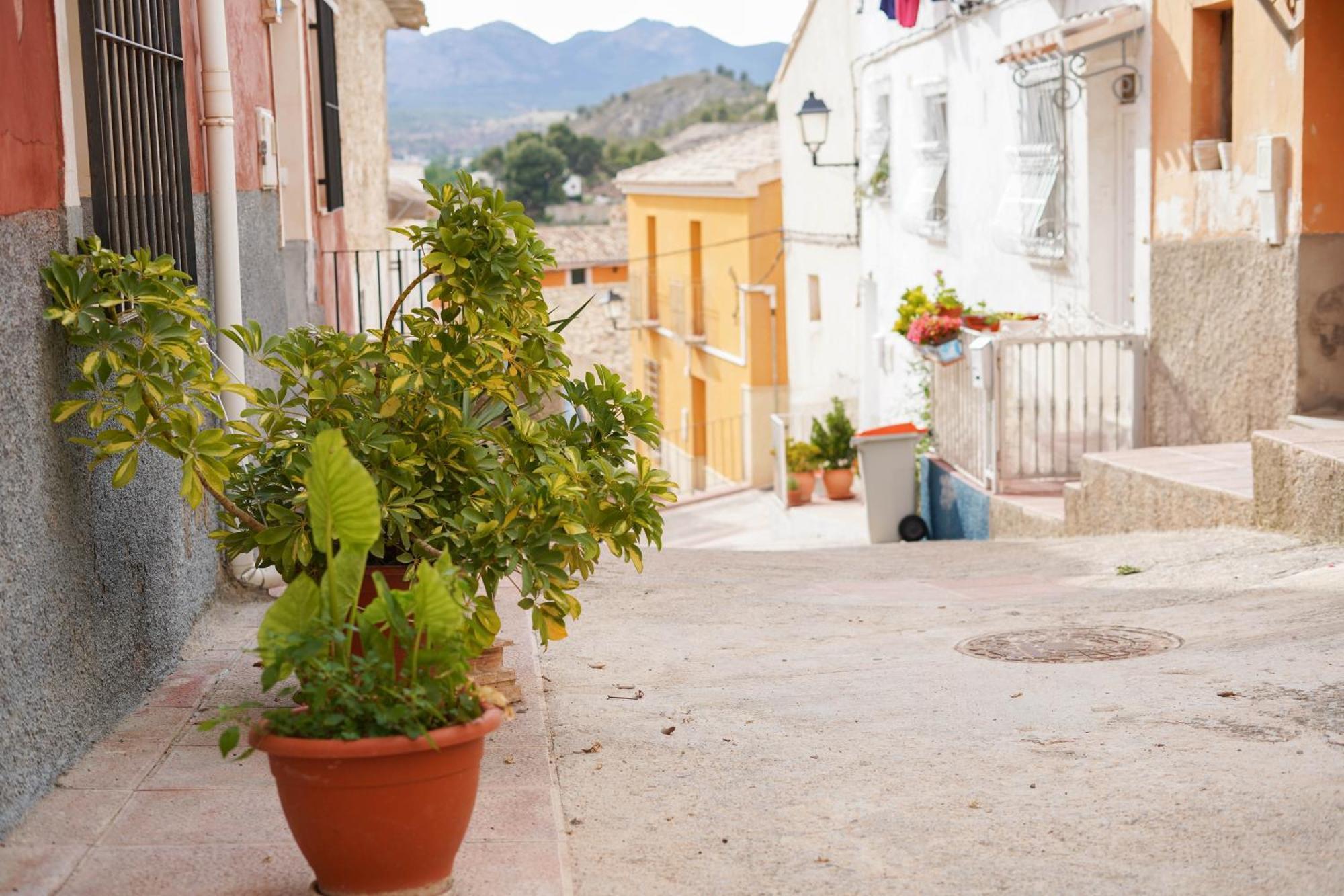 La Carpinteria Alojamiento Cehegín エクステリア 写真